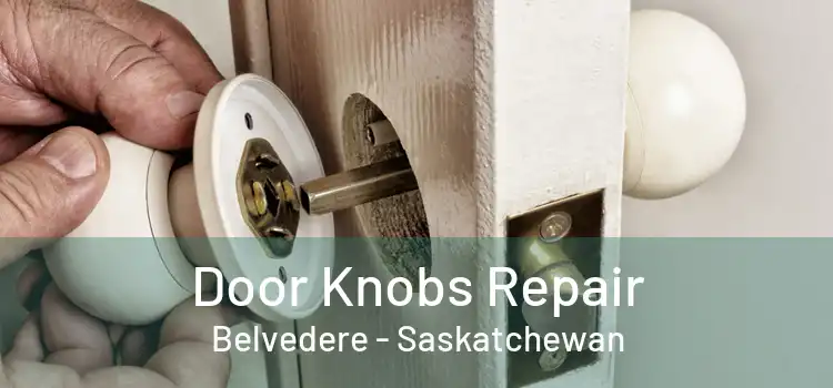Door Knobs Repair Belvedere - Saskatchewan