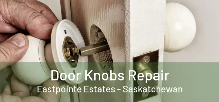 Door Knobs Repair Eastpointe Estates - Saskatchewan