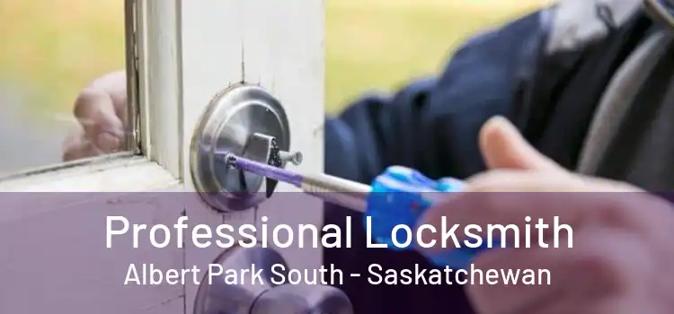 Professional Locksmith Albert Park South - Saskatchewan