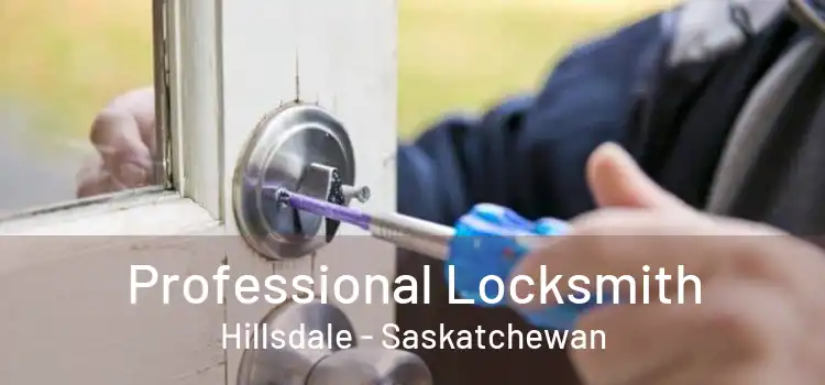 Professional Locksmith Hillsdale - Saskatchewan